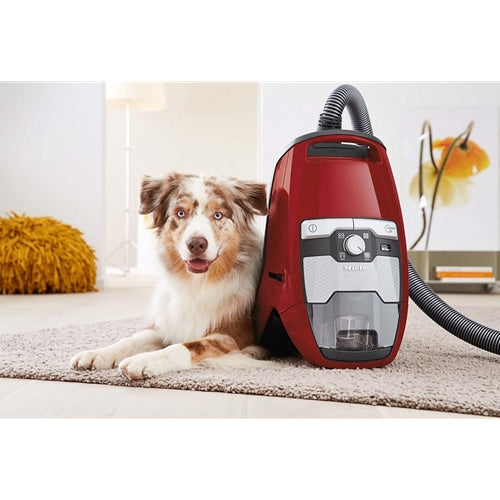 Miele HomeCare Blizzard CX1 PowerLine Bagless Canister, Ruby Red - SKCE0 - Suvio